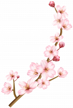 Spring Branch Transparent PNG Clip Art Image | Gallery Yopriceville ...
