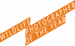 Wildlife Photographer of the Year 2016 | Royal Ontario Museum