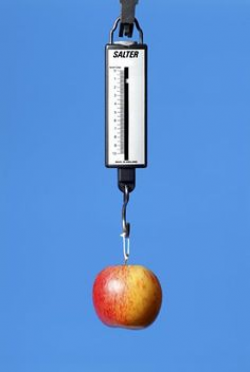 Physics clipart newton meter, Picture #165067 physics ...