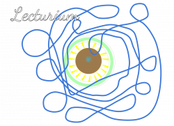 Lecturium - Elemente Magicians