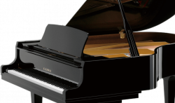 Piano. Play The Piano. Piano. The Animations Shown Hovering Over The ...