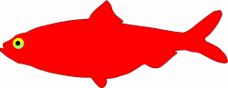 Clipart - Red Herring