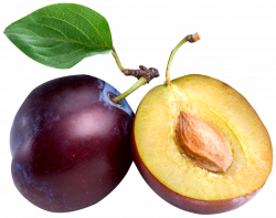 Large Plum PNG Clipart | фрукты, овощи | Pinterest | Large plum ...