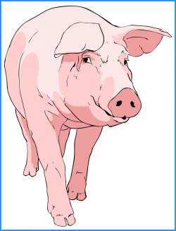 Shocking Classy Ideas Pig Clipart Animated Black And White Face ...