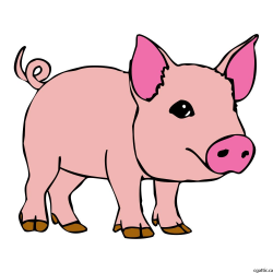 Pig Cartoon Drawing in 4 Steps With Photoshop in 2019 ...