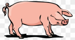Hog Huge Freebie Download For Powerpoint - Pig Pork Clipart ...