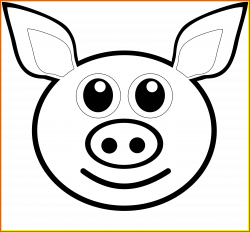 13 Ideas of Cute Pig Head Drawing - Piggy HD Wallpaper