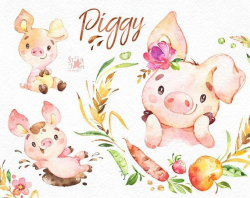 Piggy. Watercolor farm clipart, country, piglet, little pig ...
