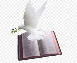 Bird Clipart clipart - Bible, Feather, Bird, transparent ...