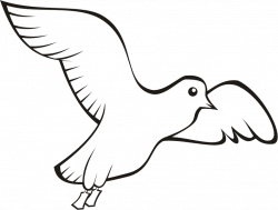 Bird Beak Domestic pigeon Columbidae Clip art - Bird png ...
