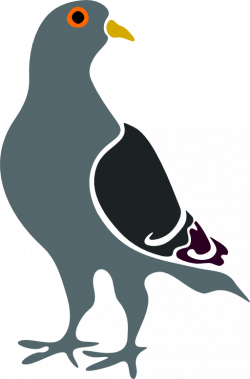Pigeon Clipart | i2Clipart - Royalty Free Public Domain Clipart