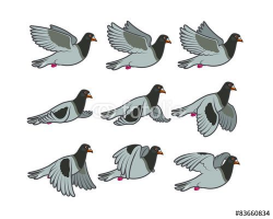 bird landing animation - Google Search | birds | Flying ...