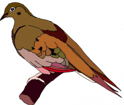 Free Pigeon Cliparts, Download Free Clip Art, Free Clip Art ...