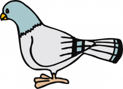 Pigeon 1 Clip Art at Clker.com - vector clip art online ...
