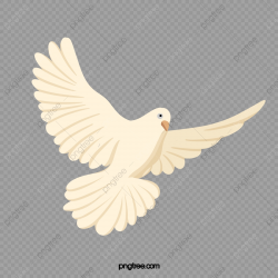 Flying Pigeons, Pigeons, Creative Pigeons, Pigeon Wings PNG ...