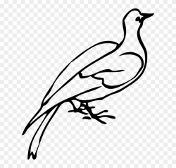 Dove Clipart Freedom Bird - Dove Clip Art - Free Transparent ...