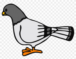 Pidgeons Clipart Freedom Bird - Pigeons Clipart - Free ...