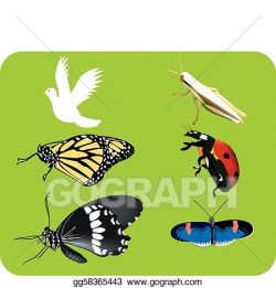 EPS Vector - insect . Stock Clipart Illustration gg58365443 ...
