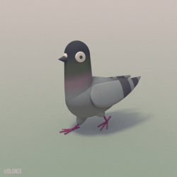 Pigeon GIFs - Get the best GIF on GIPHY