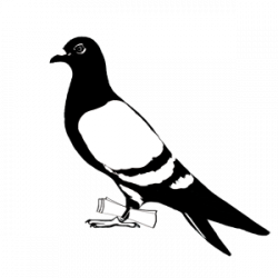Carrier Pigeon | Illustration | Work | Pigeon tattoo, Bird ...