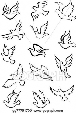 Vector Illustration - Outline graceful dove and pigeon birds ...