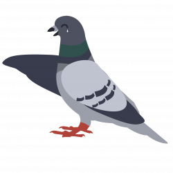 Pigeon Fails | Premier Pigeon Control