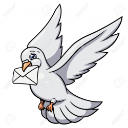 Collection of Pigeon clipart | Free download best Pigeon ...