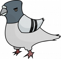 28+ Collection of Pigeon Clipart Transparent | High quality, free ...