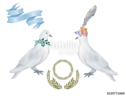 Pigeon clip art digital drawing watercolor bird fly peace ...