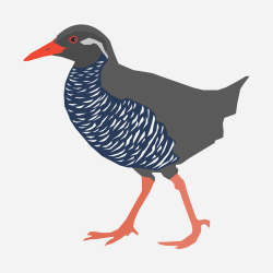 OnlineLabels Clip Art - Okinawa Rail-Yanbaru Kuina