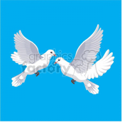 two white pigeons clipart. Royalty-free clipart # 382282