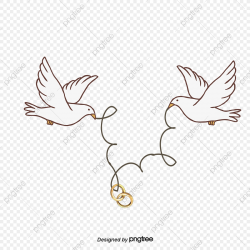 Pigeons And Ring, Pigeon, Ring, Love PNG and Vector with ...