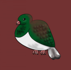 Kereru (Wood Pigeon) Clip Art