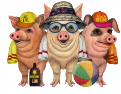 summer | Leuke plaatjes : - varkens | Pinterest | Piglets, Pig ...