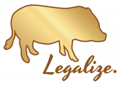 Legalize Mini Pigs As Pets -