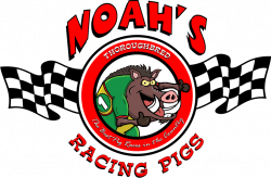 Noah's Farm, Thoroughbred Racing Pigs, Wheatvale, QLD