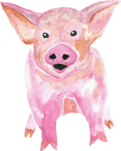 Watercolor Pig