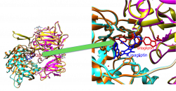 Linagliptin: A Dipeptidyl Peptidase-IV Inhibitor | MAP
