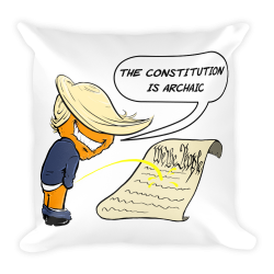ARCHAIC CONSTITUTION - Square Pillow – You've Been Trumped, America!