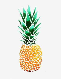 Pineapple | Ash sweet 16 in 2019 | Pineapple illustration ...