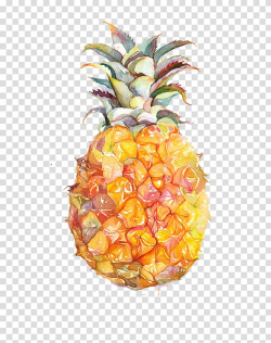Yellow pineapple illustration, Juice Fruit Watercolor ...
