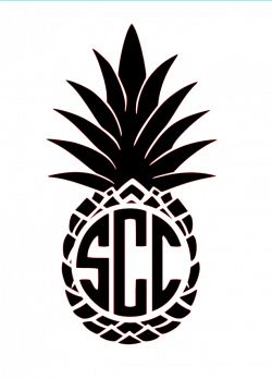 Pineapple Monogram – Southern Charm Chic