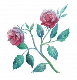 Flower Watercolor painting Clip art - Rose 2717*2850 transprent Png ...