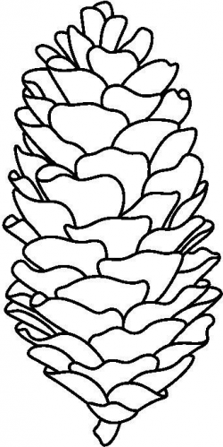 Pinecone pattern--- color every leafy thing a different ...