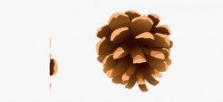 Pine Cone Clipart Cartoon - Pine Cone Clipart Png #214584 ...