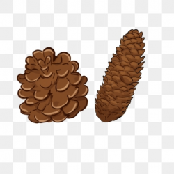 Pine Cone Png, Vector, PSD, and Clipart With Transparent ...