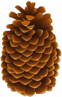 Pinecone PNG Clip Art Image | Gallery Yopriceville - High-Quality ...