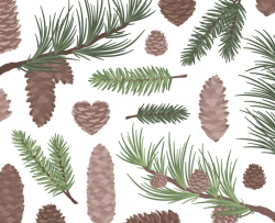 Pine Cone Clipart, Pine Tree Clipart, Nature Clipart, Tree Clipart, Branch  Clipart, Christmas Clipart, Winter Clipart, Commercial Use