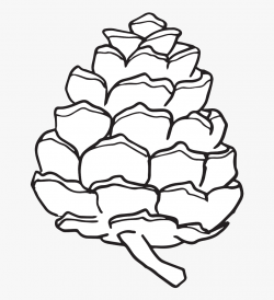 Pine Cone Clipart & Worksheets - Pine Cone Simple Drawing ...
