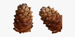 Garland Clipart Pine Cone - Pine Cone Garland Png, Cliparts ...